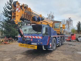 автокран TEREX AC 60/3L
